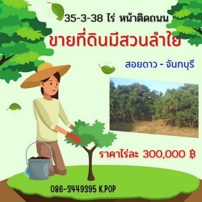 LVpop50888 ขายที่ดินพร้อมต้นลำใย 20 ต้นสอยดาว จันทบุรี 35-3-38 ไร่