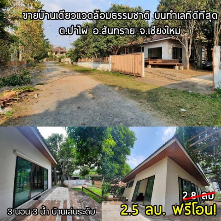บ้าน - 3 นอน พื้นที่เท่ากับ 200 sq.wa 0 งาน 0 RAI 2500000 THAI BAHT ไม่ไกลจาก มหาวิทยาลัยแม่โจ้ ทำเลคุณภาพ บ้านกว้าง พื้นที่เหลือ ใกล้วงแหวนรอบ4 และอยู่ในชุมชน