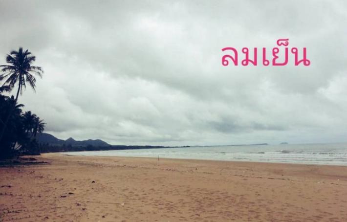 ขายทรัพย์รับปีใหม่ไทย ขาย ที่ดินริมหาดส่วนตัวติดทะเล หาดสะพลี264 ตร.วา ชุมพร 16 ลบ. โทร 083-712-4115