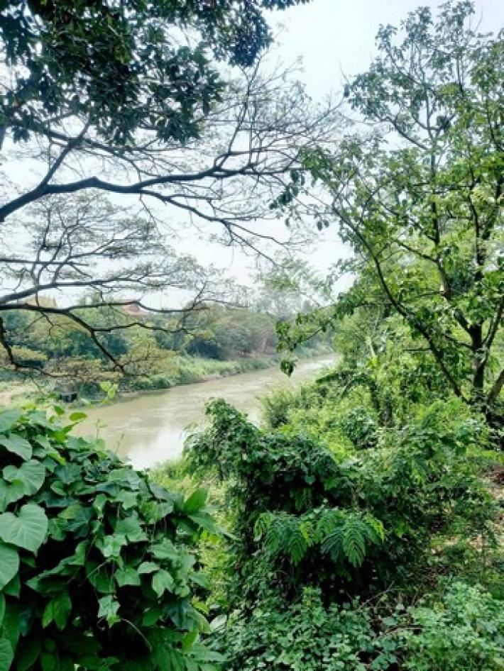 ขายที่ดินติดแม่น้ำป่าสัก แก่งคอย สระบุรี 1 ไร่กว่าๆ บรรยากาศดี เหมาะทำเป็นบ้านสวน อยู่ใกล้แหล่งชุมชน